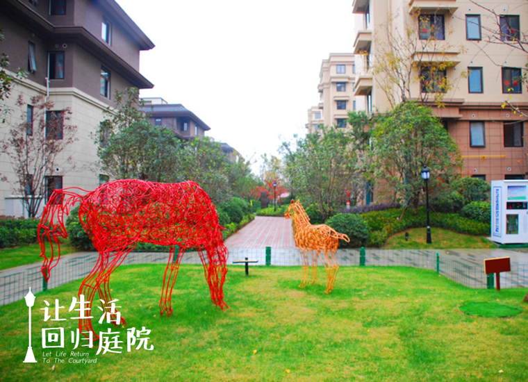 前后张望南阳50年：这样的天井，很难再有了！