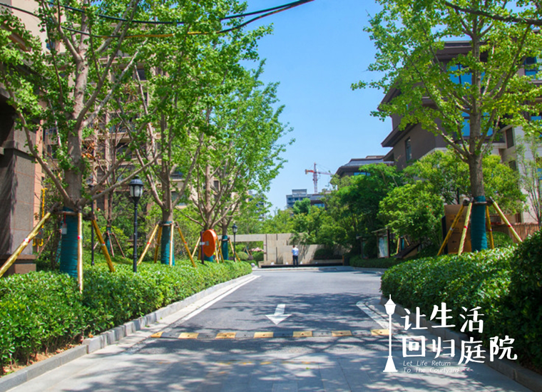 前后张望南阳50年：这样的天井，很难再有了！